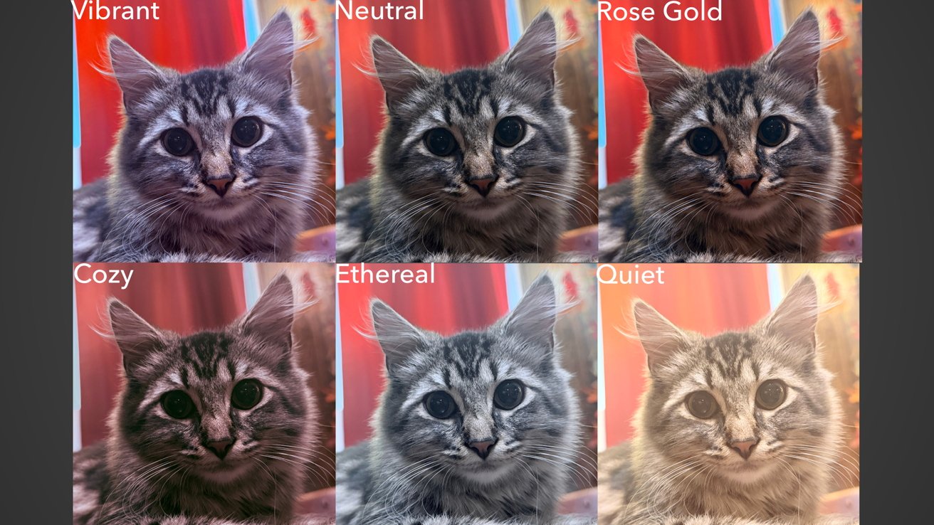 Six photos of a fluffy cat with different Photographic Styles: Vibrant, Neutral, Rose Gold, Cozy, Ethereal, Quiet. Each showcases the same cat with varied lighting effects.