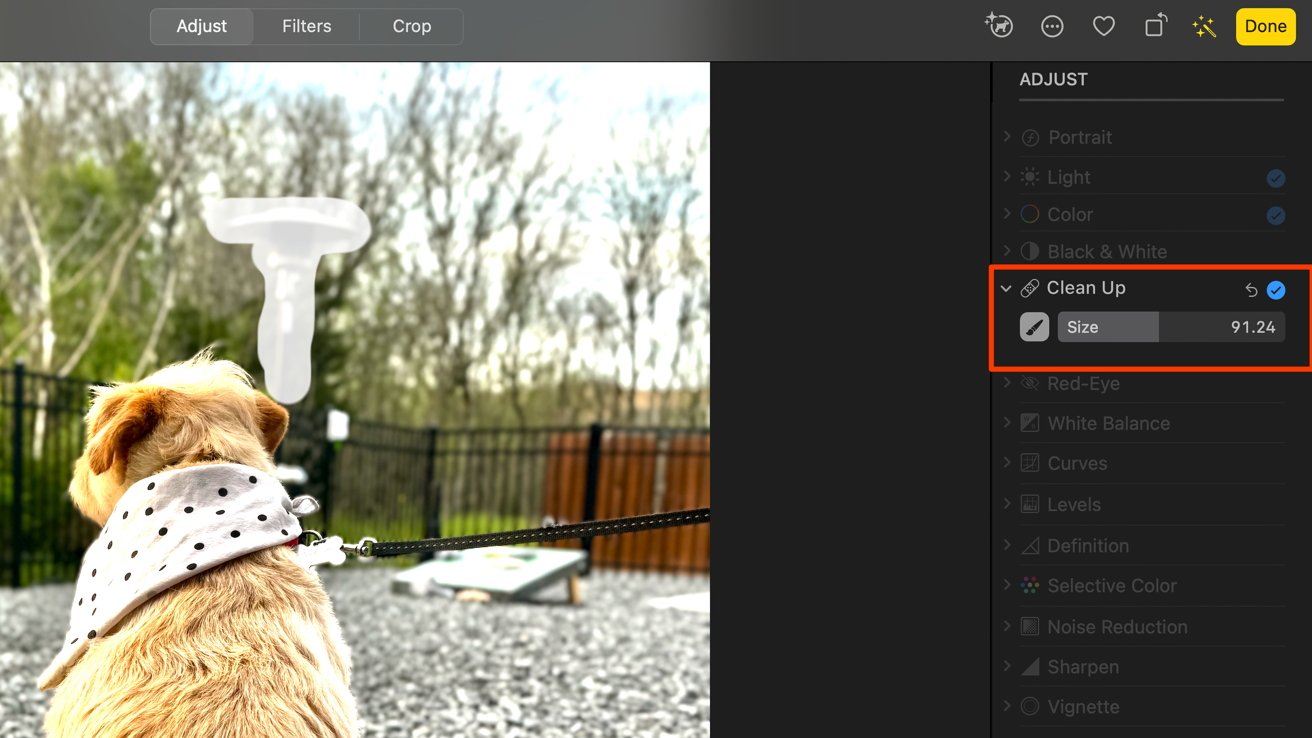 A photo editing application with a dog at a park in the photo. The user is removing a  heater from the background.