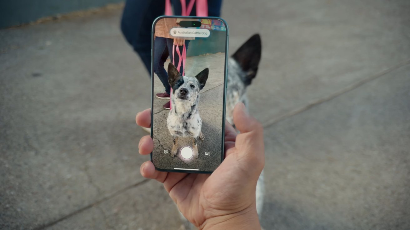 A person holds a smartphone identifying an Australian Cattle Dog, which is visible both on the screen and in the background.