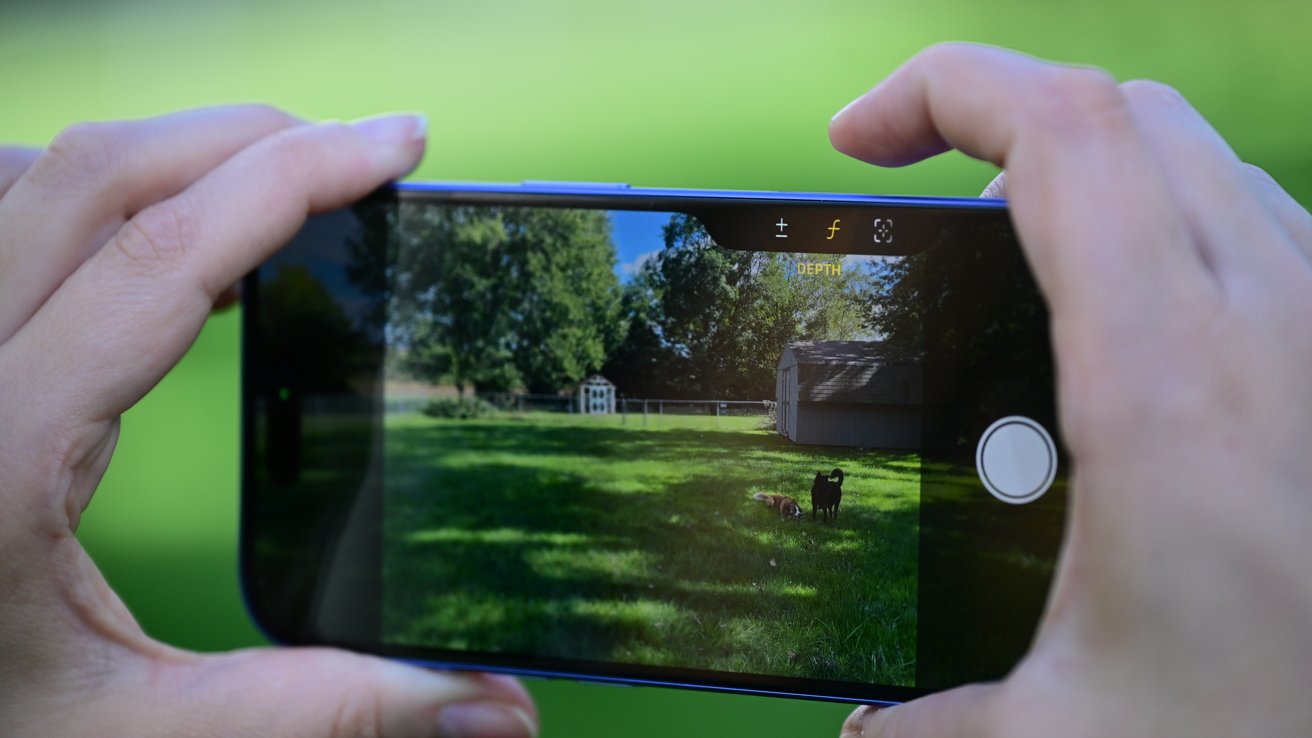 Hands holding a smartphone, capturing a photo of two dogs standing on green grass, with trees and a shed in the background.