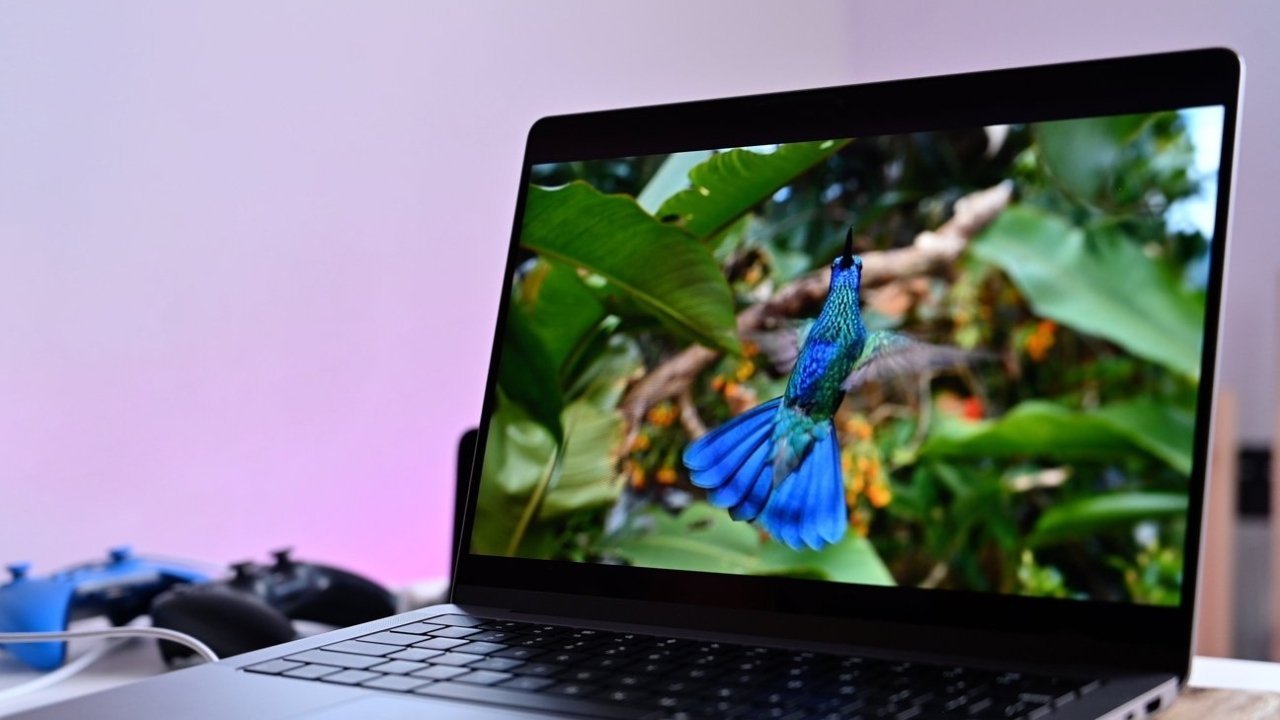 Laptop displaying a vibrant blue and green hummingbird in a lush, tropical setting.