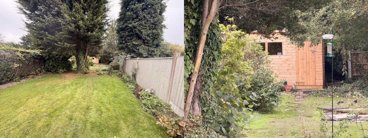 A well-maintained garden with lush grass, tall trees, a wooden fence, and a cozy wooden shed surrounded by greenery on a cloudy day.