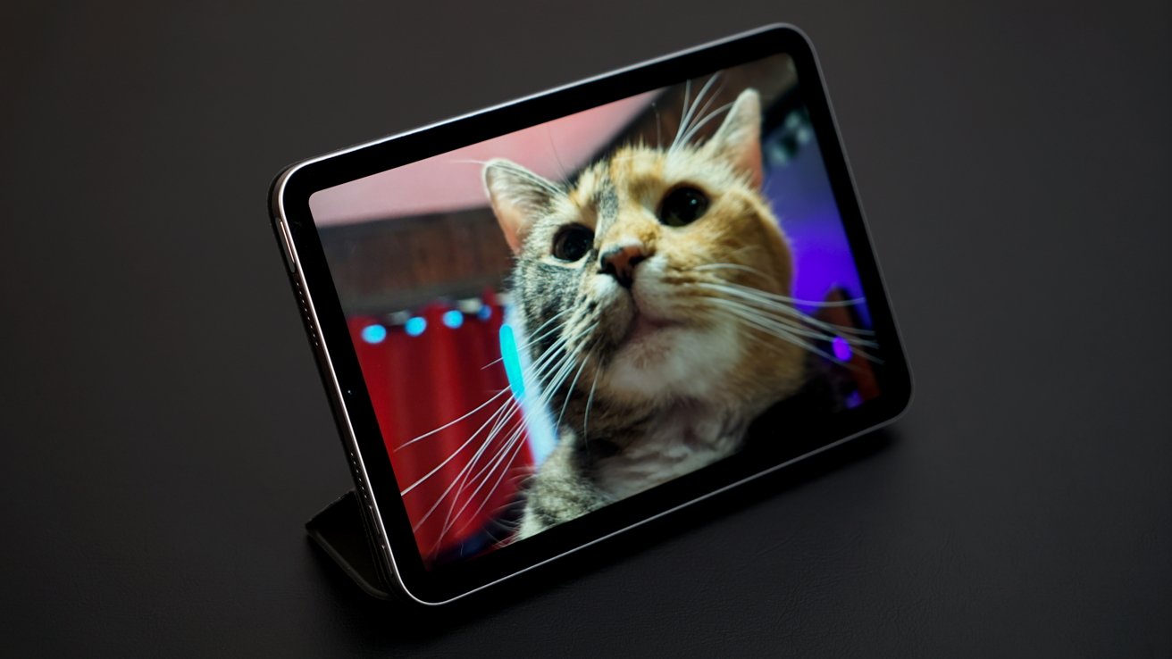Tablet displaying a close-up of a cat's face, with long whiskers, against a colorful blurred background.