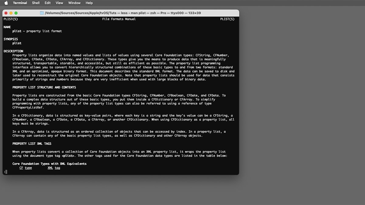 You can learn more about .plist formats and CF types in Terminal by typing 